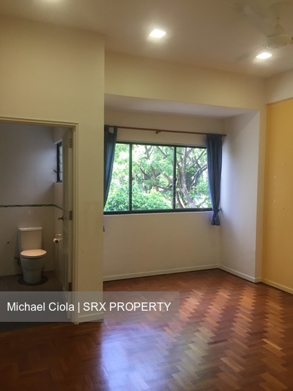 Regency Park (D10), Condominium #205954401